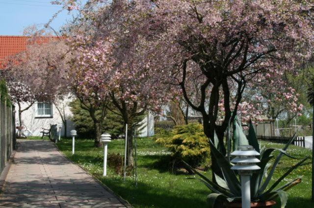 Familienhotel Zur Linde Panschwitz-Kuckau Exterior foto